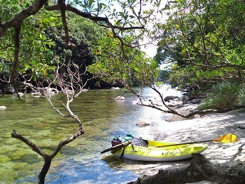 屋久島 カヤック / KAYAK