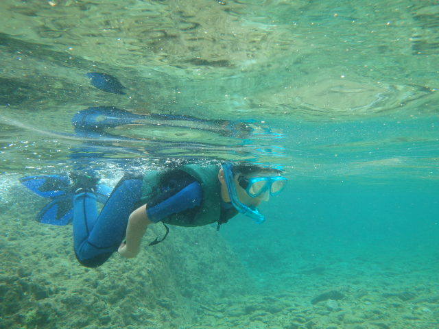 屋久島 シュノーケリング / SNORKELING