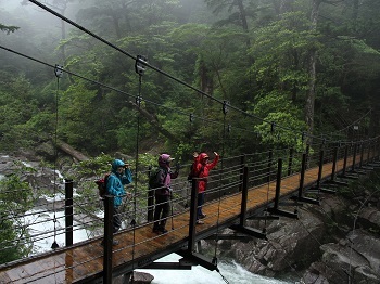 屋久島 Trekking / トレッキング